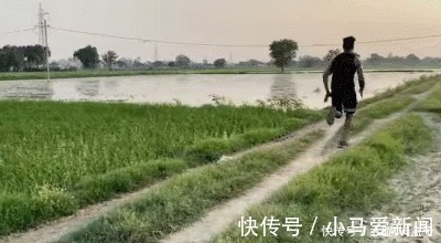 答案|健身2个月，身材能有多大的改变发福的肌肉男告诉你答案