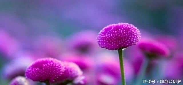 曾国藩眼中的3条“美德”,也是3条积福之道,你知道吗?