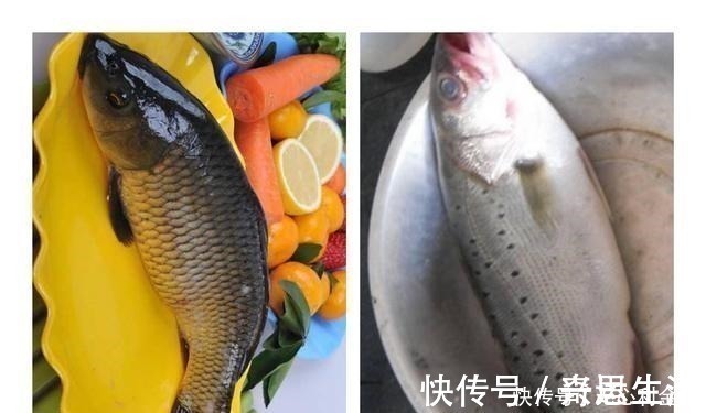 淡水鱼和海水鱼做法真不一样，大多数人做错了，弄懂买鱼心里有底！