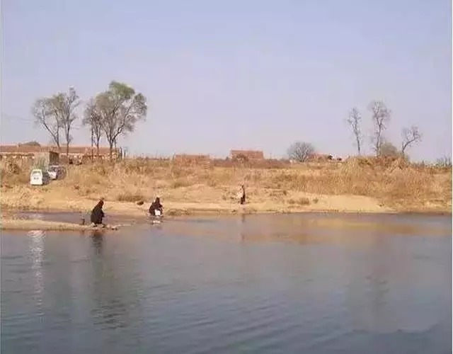 冬钓最佳钓点,莫过于水中寻草,草窝多有大鲫鱼