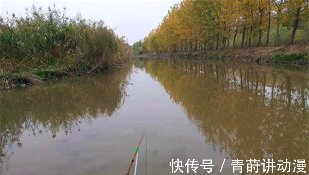 冬季钓鲫鱼,5宜5不宜,气温低变数好,“路数”比技术更重要!