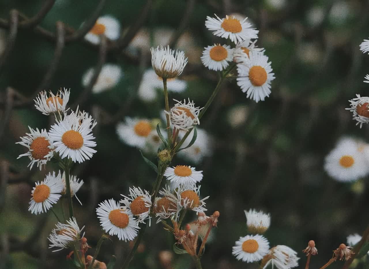 浮躁&做好这六件事,让浮躁的心静下来