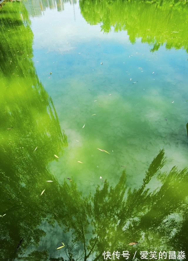 画堂|每日一词《踏莎行》赏析