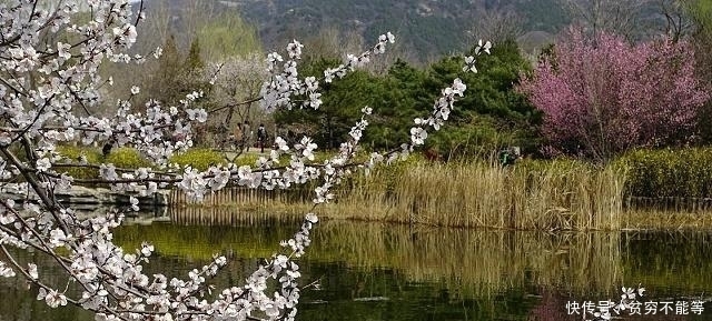 宋诗里最不容错过的一首诗,律回岁晚冰霜少,春到人间草木知!