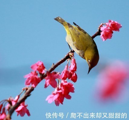 财神|下周开始，4属相迎贵人接财神，运势一飞冲天，富贵花开