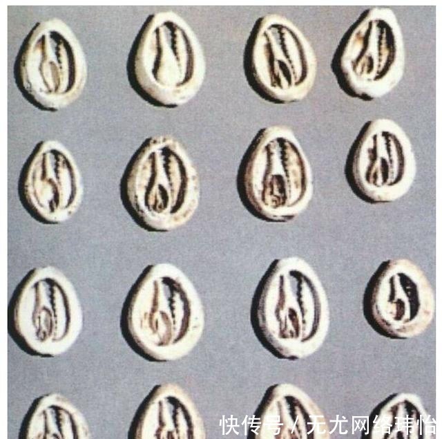 《中国是部金融史》从西周到大秦,为什么繁荣昌盛的偏偏是它们?