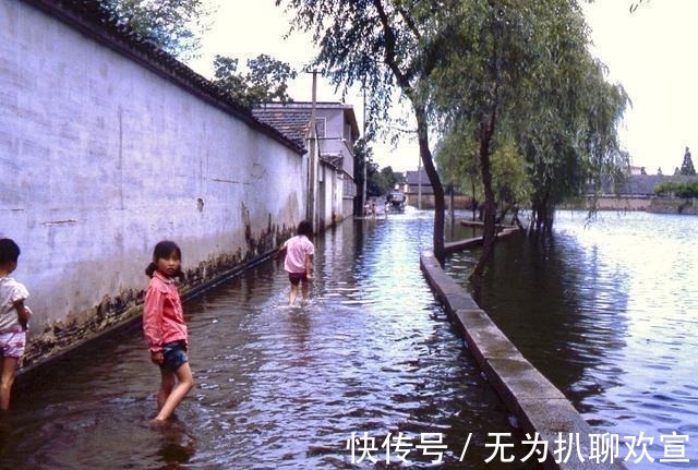 瑞光寺塔|江苏旧影1983年, 昔日苏州市沧浪区风景