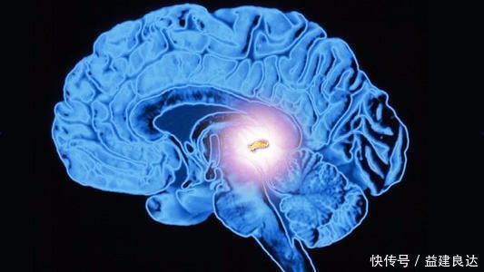 不良率|经常“玩手机”的孩子,长大后要面临2种结局,家长别大意!