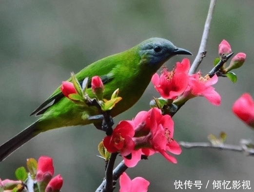 家长能做到这些,孩子不成才也难!