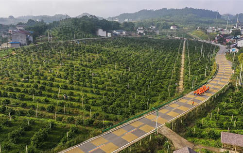 老年|三峡库心·长江盆景，重庆要打造一张什么样的城市新名片？