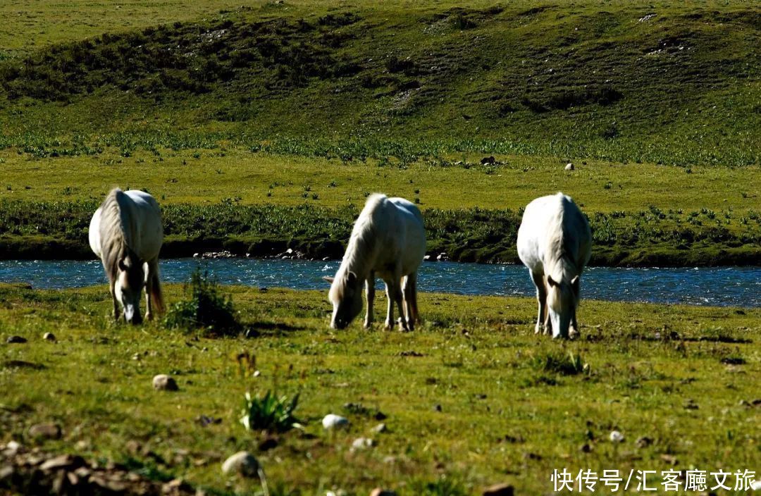 10条惊险绝美的公路，穿山跨湖、盘山迷宫、腾云驾雾