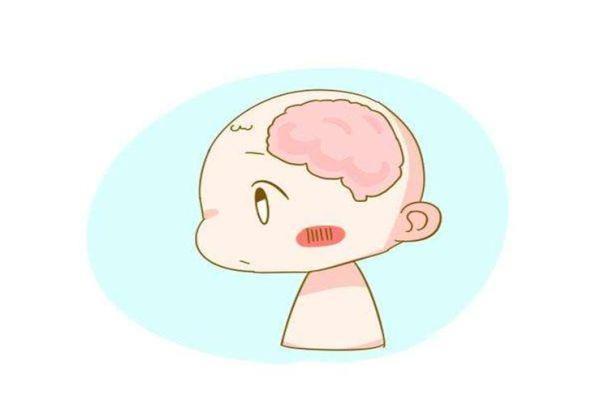 男孩|大脑结构决定孩子开窍早晚,父母要抓住关键期,帮助孩子健康成长