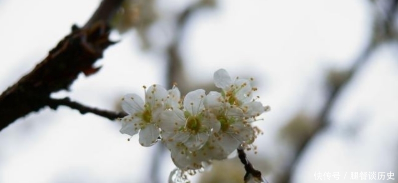 忧愁#李煜水平很高的一首词,通篇都在描写忧愁,可是却没有一个愁字!