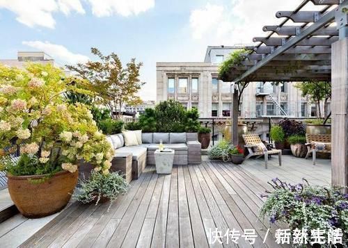 买房|一楼带院子和顶楼带露台,选哪个房子更好?建筑学家给出答案