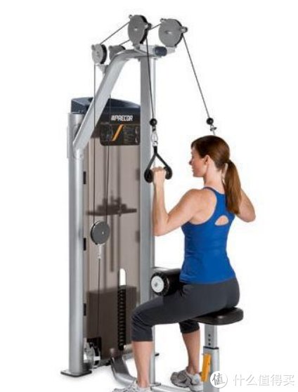 飞鸟|秋季健身滑轮系统飞鸟高低拉浅谈篇一