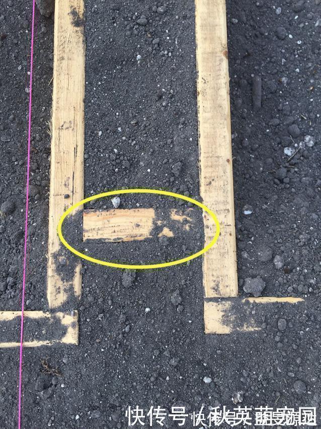 院子|院子不打水泥,铺20个木方格现浇混凝土,变现代庭院果然好看多了