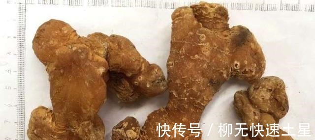 中药$黄精反复地在《西游记》中出现!