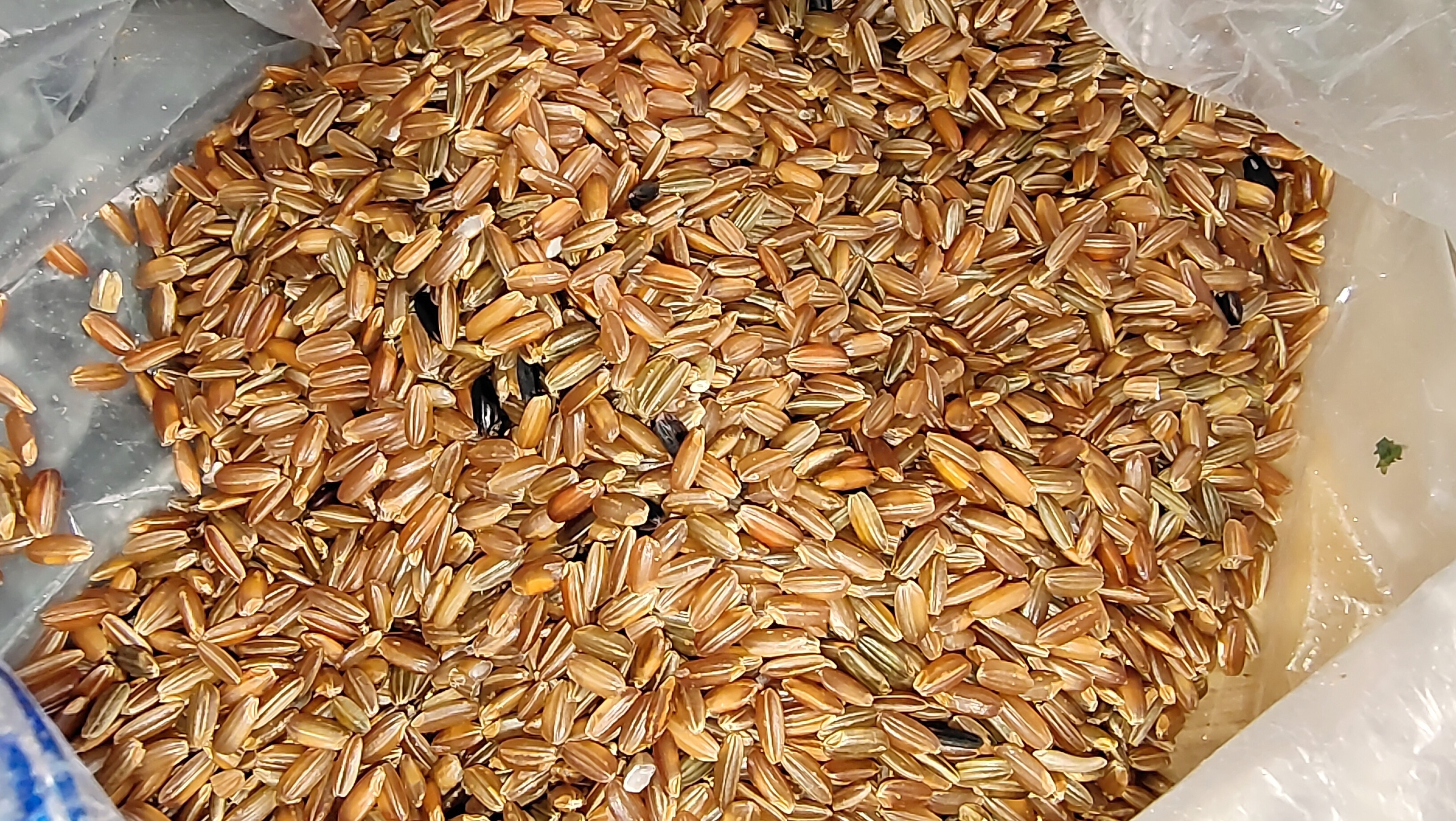 煮米饭时,再多加这“3样”,营养全面,味道更香,吃了更扛饿