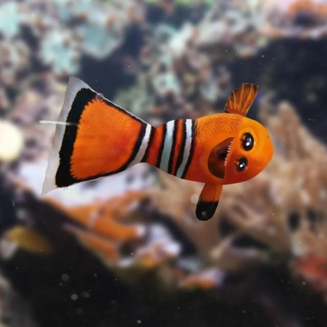 老爸Tom|设计师老爸将孩子的画P图再现,鼓励孩子继续发挥创造力