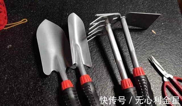 矾根|为了300㎡露台花园，毫不犹豫买了这房子，在城市屋顶过上田园生活！