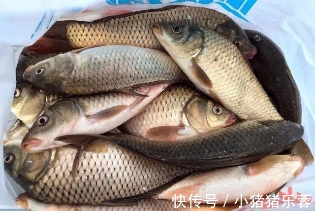 阴天|秋冬钓鲫鱼5个万能位,跳出这些误区,精确找鱼