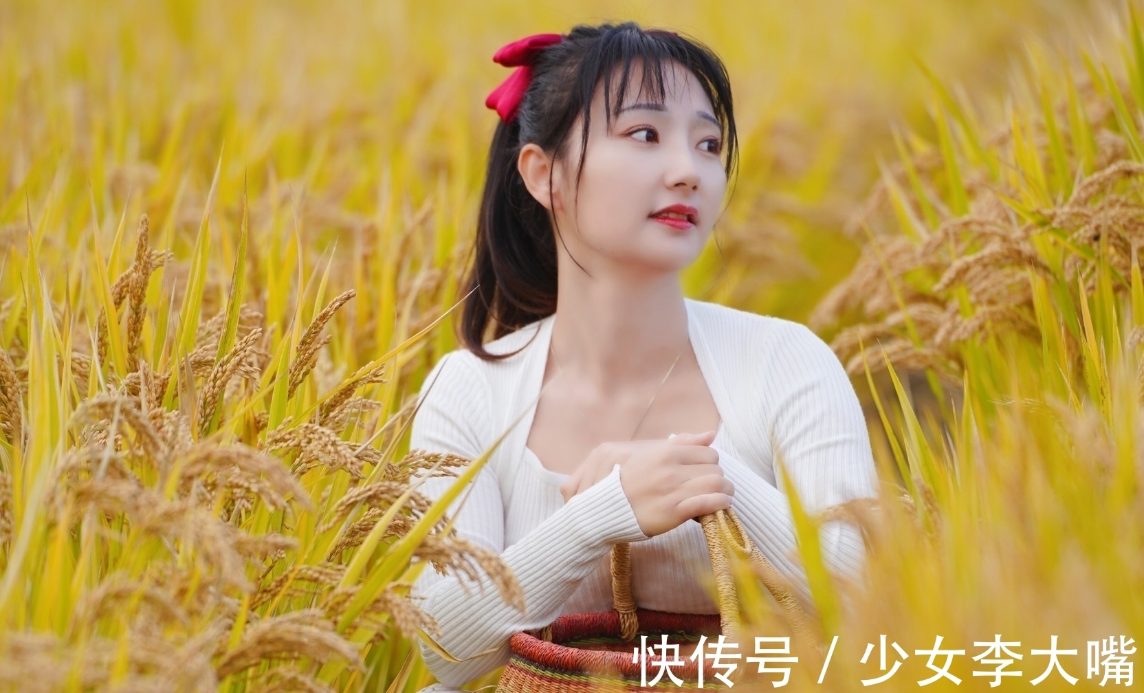 青罗#诗·十一首丨玄霜已覆青罗被,黄菊才妆金缕衣