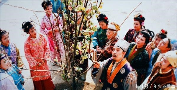 贾元春回家时说错一句话 ,还做错一件蠢事,连累贾府满门被抄