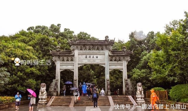 九龙藻井|普陀山三大寺之一，镇寺之宝来自南京明故宫，寺名来自康熙御赐！