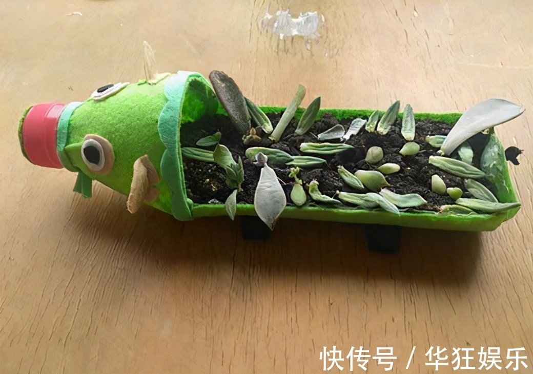 养花不一定要精美的花盆，这几种东西剪一剪，养花创意十足