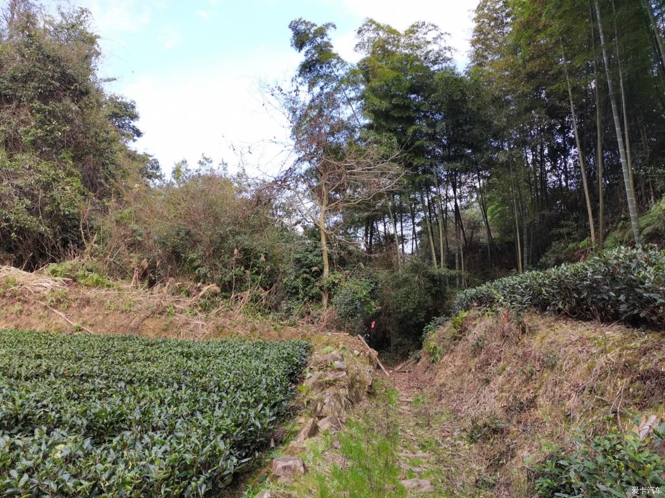 栈道|牛年春节不停歇