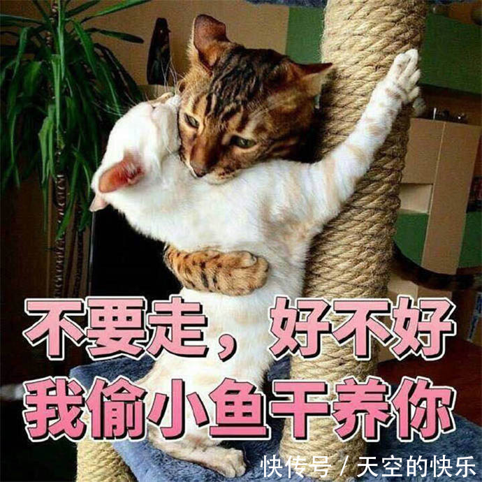 |【搞笑段子】你是人间的四月天…如何对下句?