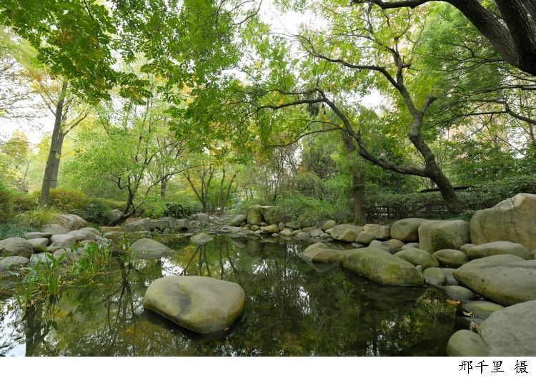 力量|今日秋分桂树婆娑影,天香满世间,在丰收的喜悦中汲取勇往直前的力量