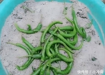 夏天辣椒正便宜,这样“埋”起来,放半年都不成问题,冬天不用花高价买