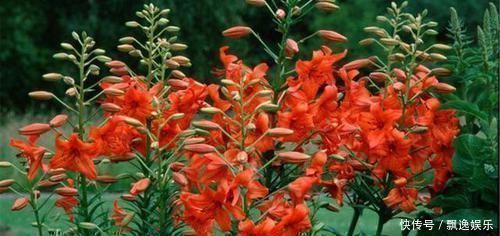 女性|女性雌激素“告急”,身体会露出马脚多吃4物,皮肤好、不显老