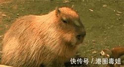 |10个幽默小笑话,开心一笑