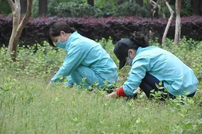 不负春光不负美，骑行、赏花约起来！（一大波美图来袭）