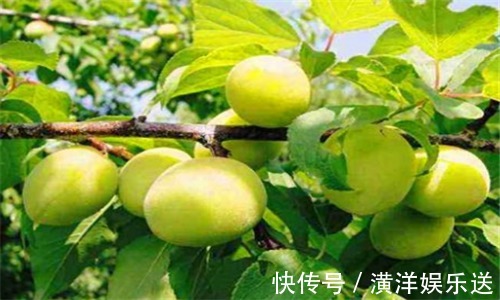 人到中年|人到中年想长寿,不妨多吃3种食物,排毒抗衰,清理肠胃