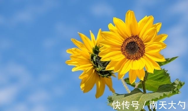 重情重义|7月，情愫缱绻，旧情难断，3星座重新牵手，此生再不辜负