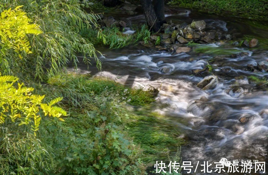 居庸关|这个风景秀美的村庄，溪流叠水，野花遍地，现在去正好~