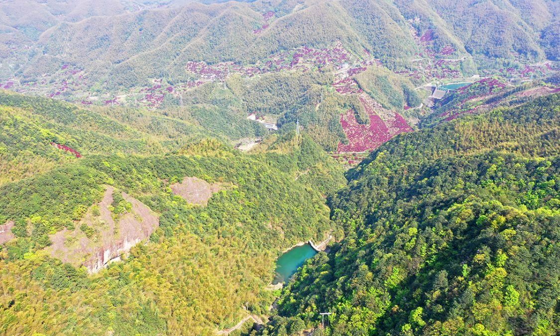 宁波红枫欣赏地，大俞、北溪、唐田，红枫绚烂