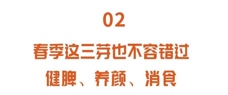 黄豆芽|老中医春季常吃“长寿芽”，比花生营养，比黄豆芽更爽脆