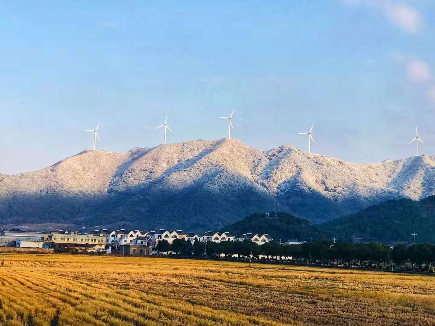 初雪过后，象山人朋友圈开启“晒雪”模式……