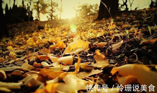 路边捡一点小东西,开水烫一下用来养花,养花十年也不会烂根