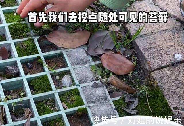 没人要的花，变身百元不换的盆景，简单三步搞定