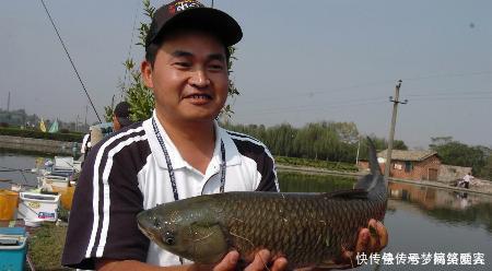 小伙|农村小伙钓鱼就是狠,这样打窝,钓鱼钓到手发软