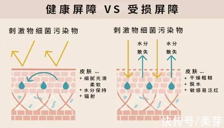 高浓度 烂脸警告！敏感肌一定要看！（建议收藏）