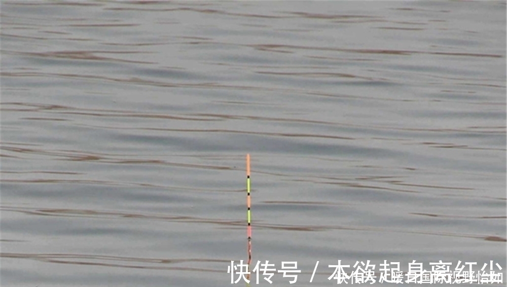 野钓选漂和调漂经验,选漂注意吃铅大小,调漂注意钓钝才“万能”