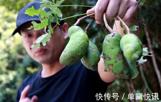 槟榔油|央视列为“一级致癌物”,吃一口,赛喝马桶水3次