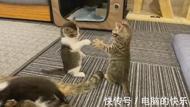 |搞笑图集:一个宿舍42个学生,网友:养猪都不敢这么养啊