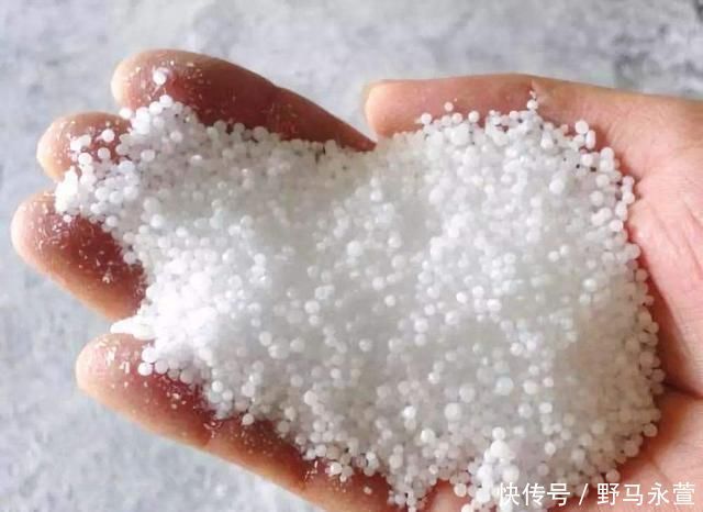 养花施肥别再用土方法了,这3种物质才是最有效的